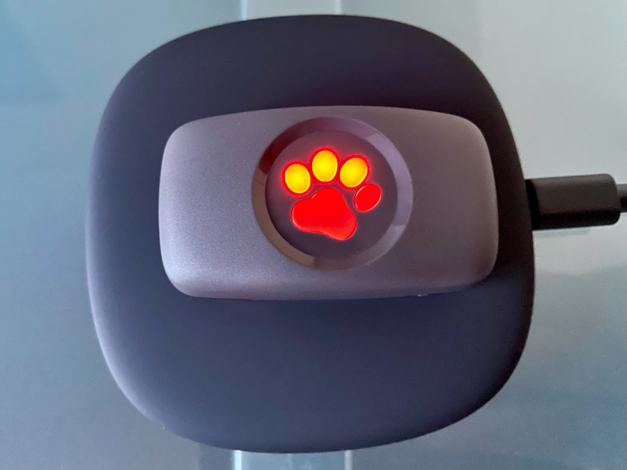 Paw pads light up indicating the charge level.