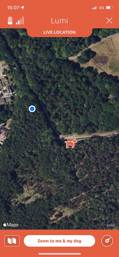 Aerial map showing location of dog in app