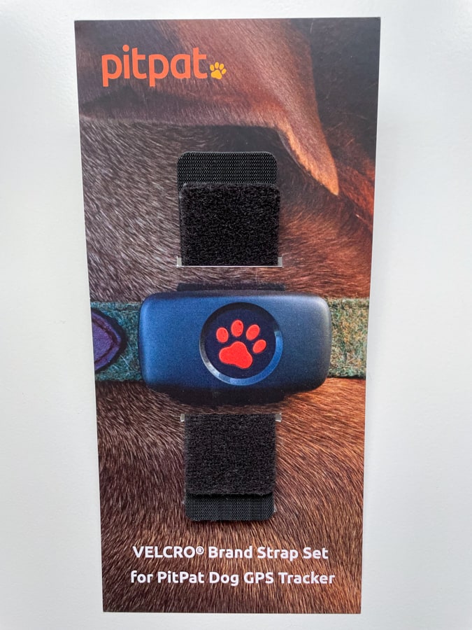 Dog GPS Tracker Review - The Kitchen Sink